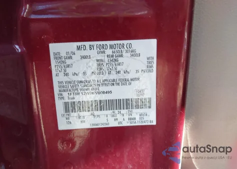 2006 Ford F-150 Stx/Xl/Xlt z USA, uszkodzony, nr VIN 1FTRF12W96NB08495